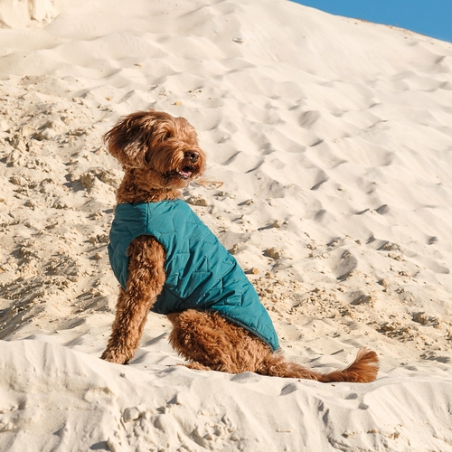 Eco-Friendly Dog Jacket Vest Made in Ukraine - Image 8