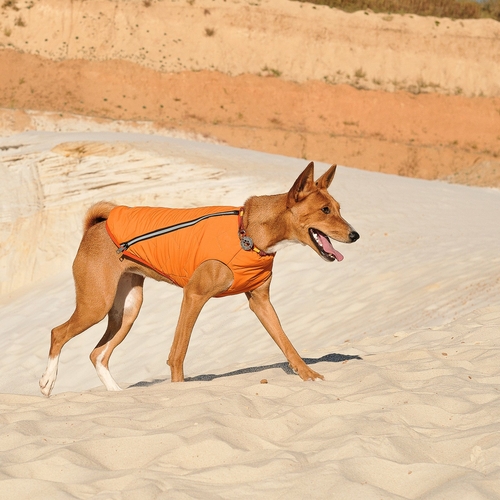 Eco-Friendly Dog Jacket Vest Made in Ukraine - Image 11