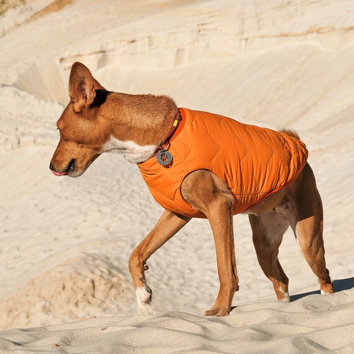 Eco-Friendly Dog Jacket Vest Made in Ukraine - Image 12