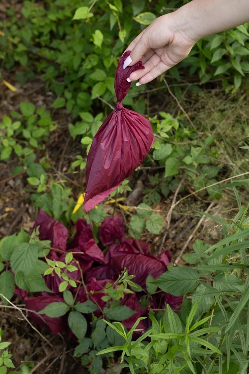 Plant Based Dog Compostable Waste Bags - Image 3