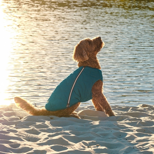 Eco-Friendly Dog Jacket Vest Made in Ukraine - Image 10