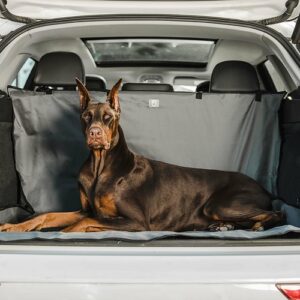 Pet Cargo Cover for Clean, Protected Car Interiors