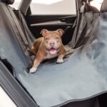 Pet Hammock Seat Cover for Dogs | Car Seat Protector