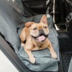 Dog Bench Cover for Car Seats | Pet Seat Protector