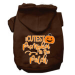 Cutest Pumpkin Dog Hoodie Large Fall Pet Sweatshirt