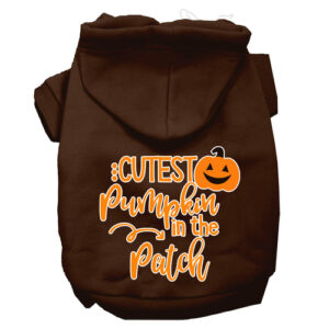 Cutest Pumpkin Dog Hoodie Large Fall Pet Sweatshirt