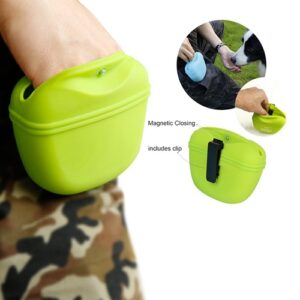 Portable Dog Training Waist Bag for Treats & Walks