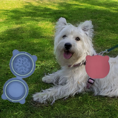 Dog Bowl Collapsible Bowls 2 Pack for Travel Pets - Image 5