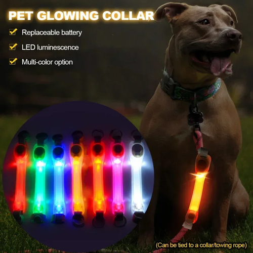 Waterproof Dog Anti-Lost Glowing Collar for Safety - Image 4