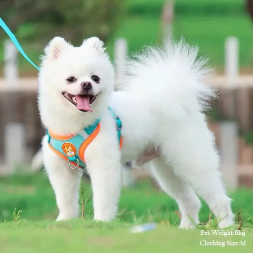Suede Dog Chest Harness Vest with Reflective Leash - Image 2