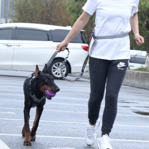 Elastic Waist Dog Walking Lead | Hands-Free Dog Lead