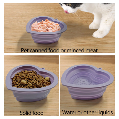 Silicone Heart Shaped Portable Dog Feeding Bowl - Image 3