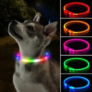 USB LED Dog Collar 3 Modes Luminous Safety Light Collar