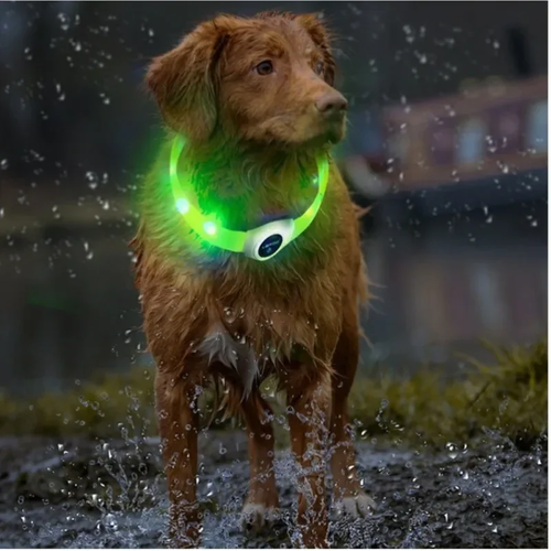 LED Luminous Dog Collar PVC Waterproof for All Dogs - Image 6