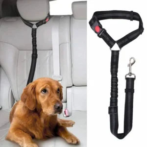 Reflective 2 In 1 Pet Car Backseat Belt Durable Nylon