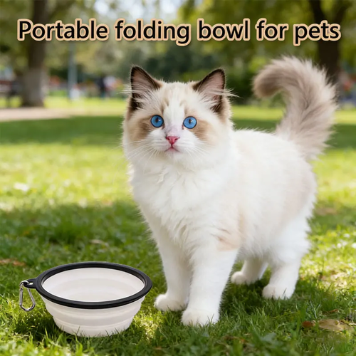 Dog Collapsible Bowls for Portable Feeding - Image 2