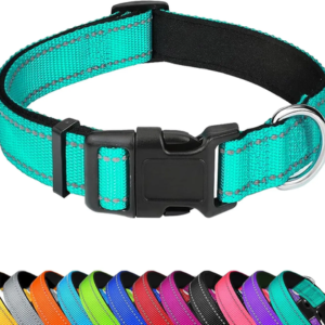 Adjustable Soft Neoprene Padded Nylon Dog Collar
