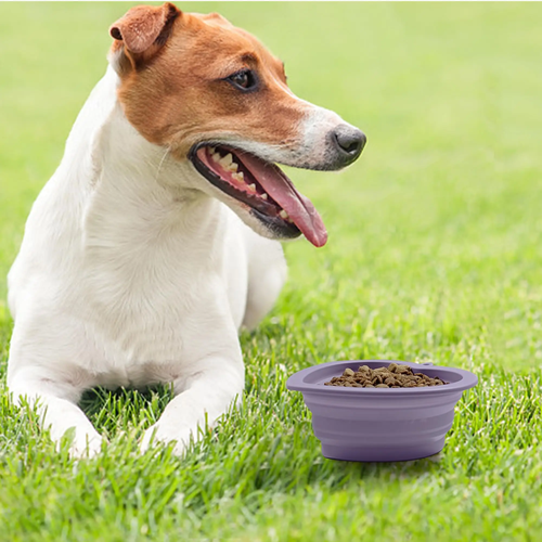 Silicone Heart Shaped Portable Dog Feeding Bowl - Image 2