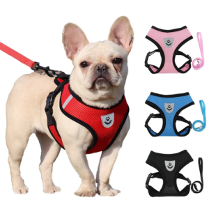 Summer Dog Harness Leash Adjustable Mesh Vest