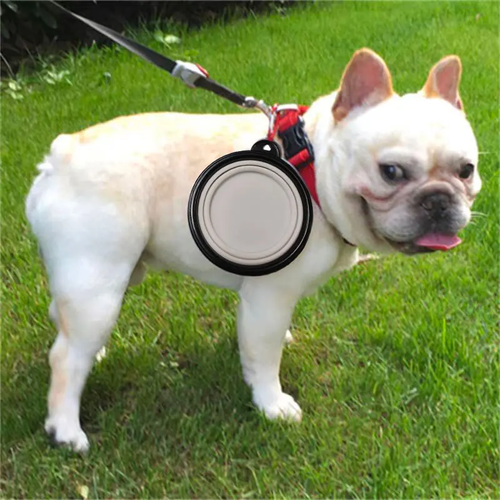 Dog Collapsible Bowls for Portable Feeding - Image 3