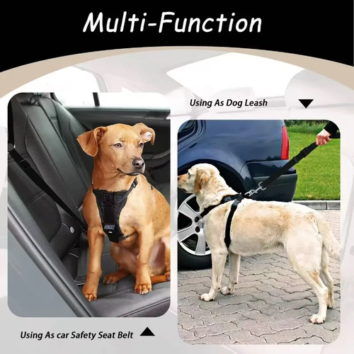 Solid Color Dog Car Backseat Safety Belt for Safe Travel - Image 4