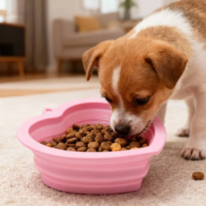 Silicone Heart Shaped Portable Dog Feeding Bowl