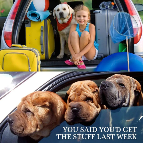 Dog Car Seat Belt Safety Protector for Travel - Image 6