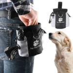 Dog Outdoor Training Bag for Treats & Walking Gear