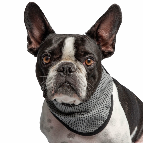 US Army Dog Cooling Bandana Grey for Pets - Image 2