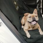 US Army Dark Camo Car Bench Seat Pet Cover for Dogs