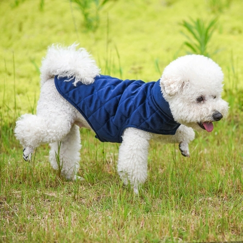 Dogs Winter Warm Vest | Cozy Cold Weather Dog Coat - Image 6