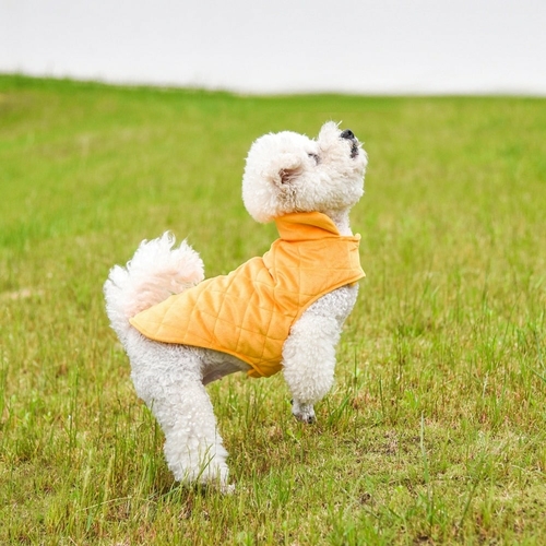 Dogs Winter Warm Vest | Cozy Cold Weather Dog Coat - Image 7